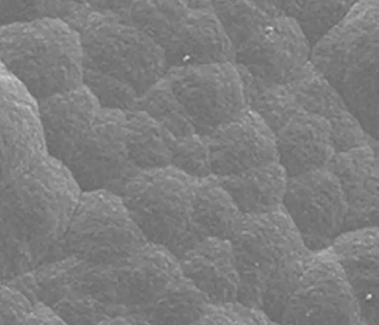 sic coated graphite components